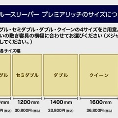 セミダブル】トゥルースリーパー プレミアムリッチ洗えるプラス5点セット