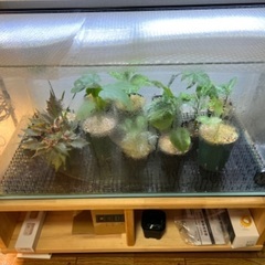 30cm、60cm、90cm水槽