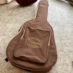 シンガポール発高級ギター　Maestroのエレクトリックアコースティックギター