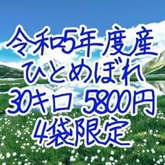 令和5年度産 ひとめぼれ 玄米 数量限定