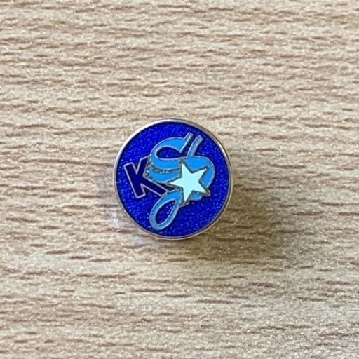 矢沢永吉グッズ☆スタジアムクッション☆サコシュボーチ