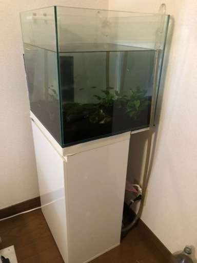 45cm水槽。引き取り限定