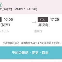 値下げ可　11月14日　関西国際空港→鹿児島　peach MM1...