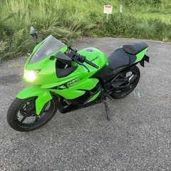 【ネット決済】Ninja250r