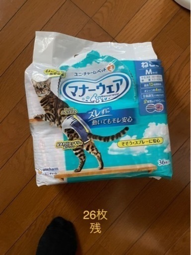 マナーウェア（猫）Mサイズ譲ります