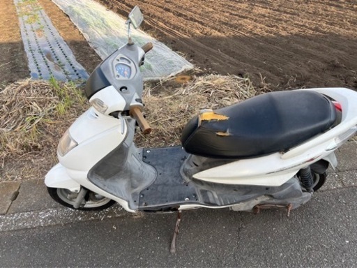 シグナス　1型