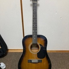 Lumber LDG10TS アコースティックギター