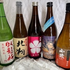 訳あり　日本酒  飲み比べ　日本酒セット　酒　