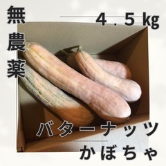 【無農薬】三重県産　バターナッツかぼちゃ　4個