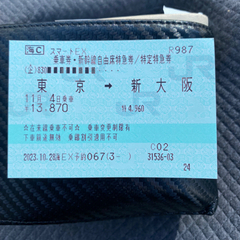 【ネット決済】東京　新大阪　日付指定　自由席　新幹線チケット