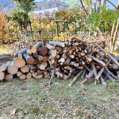 焚き火用　薪、枝、落ち葉