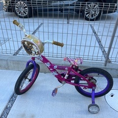 自転車　幼児　lol