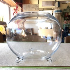 ガラスの金魚鉢