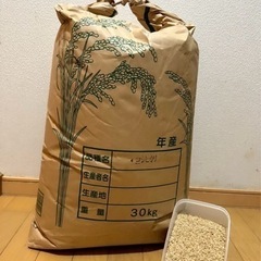 千葉県産こしひかり　令和4年度産　玄米　30kg