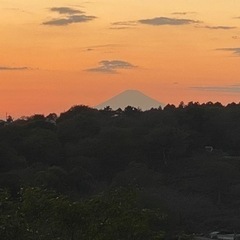 明日、低山ハイク奥多摩11月3日メンバー募集　温泉鍾乳洞