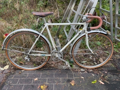 おしゃれな新色追加！電動アシスト自転車・三輪車「ラクットシリーズ 