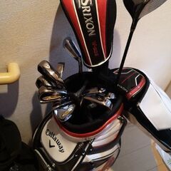 アイアンセットLフレックスGOLD