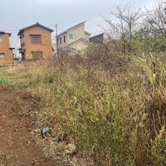 🌟貸土地🌟野田市山崎🌟格安！【農園、キャンプベース、資材置場、駐車場最適！】の画像