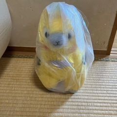 エヴァパカッソ　ぬいぐるみ（処分価格）