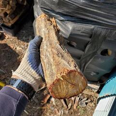 薪　ストーブ、キャンプ(コナラ、クヌギ、の丸太）乾燥済み