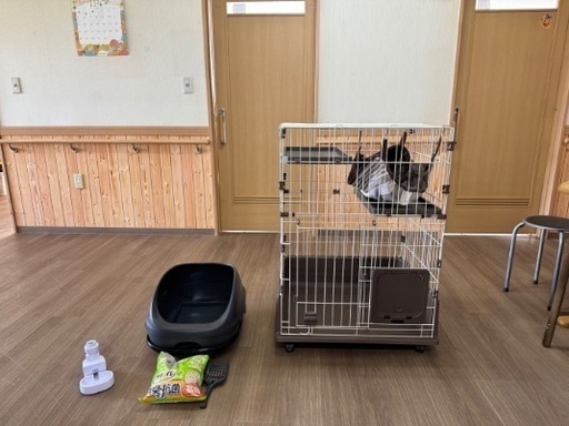 猫　ゲージ　未使用　難あり