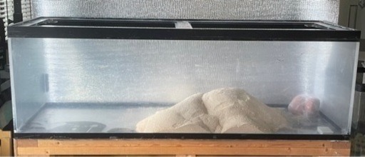 決まりました。1500 大型水槽