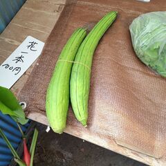 野菜など　無人販売