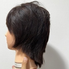 カット用レディースウィッグ 美容国家試験