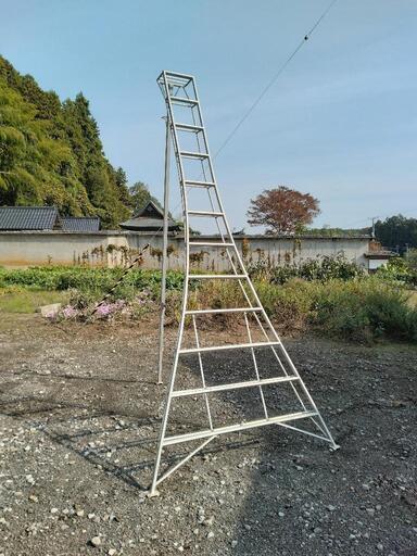 園芸用三脚(脚立)