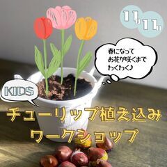 11月11日(土)☆KIDSチューリップを植えようワークショップ...