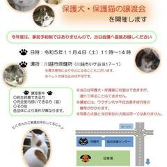 保護犬・保護猫譲渡会☆IN川越市保健所