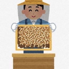 一緒に養蜂(日本ミツバチ)しませんか？