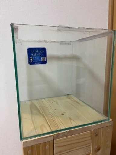 ［取引中］30センチキューブ水槽、キンペコ、フォーバータイガー