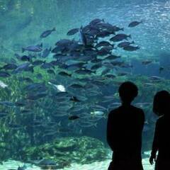 水族館🐡で楽しくお話☻20台限定恋活💗