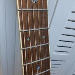 売り切れ★S.yairi (エレアコ) トップ単板 (ほぼ未使用品) 売り切れ☆S.yairi (エレアコ) トップ単板 (ほぼ未使用品)