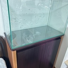 オールガラス水槽60cm と プロスタイル600s 水槽台