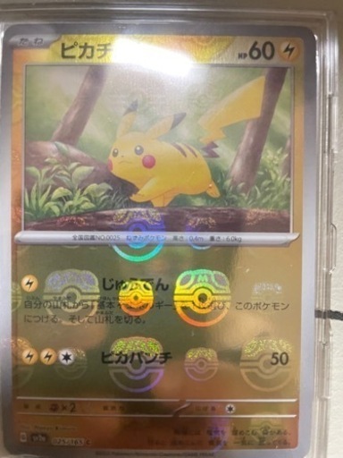 ピカチュウマスターボール