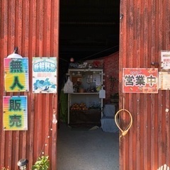 淡路島 ド田舎の小さな無人販売所