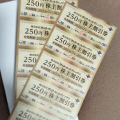 【ネット決済・配送可】ヴィア・ホールディングス株主割引券250円...