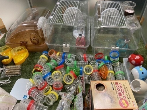 ハムスター飼育フルセット