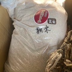 令和5年　新米　完全未開封　有機玄米ゆめぴりか　10kg  OH...