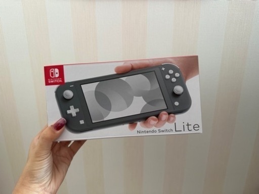 スイッチライト グレー