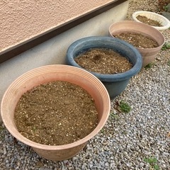 土　園芸用　鉢付き　土だけでもOK  まだあります。