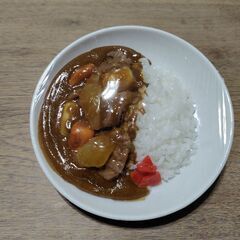 食品サンプル カレーライス（食べれません）