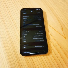 iPhone13 Pro MAX  