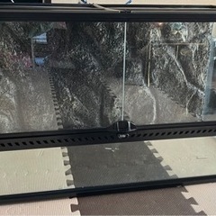 爬虫類用ゲージ