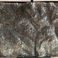 爬虫類用ゲージ