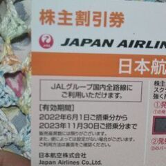 JAL株主優待券 2023年11月30日まで