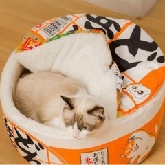 【ネット決済・配送可】(無料配送)インスタントラーメン形状猫ハウス