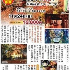 マイライフ新聞社主催、秋の紅葉 日帰りバスツアー参加募集！